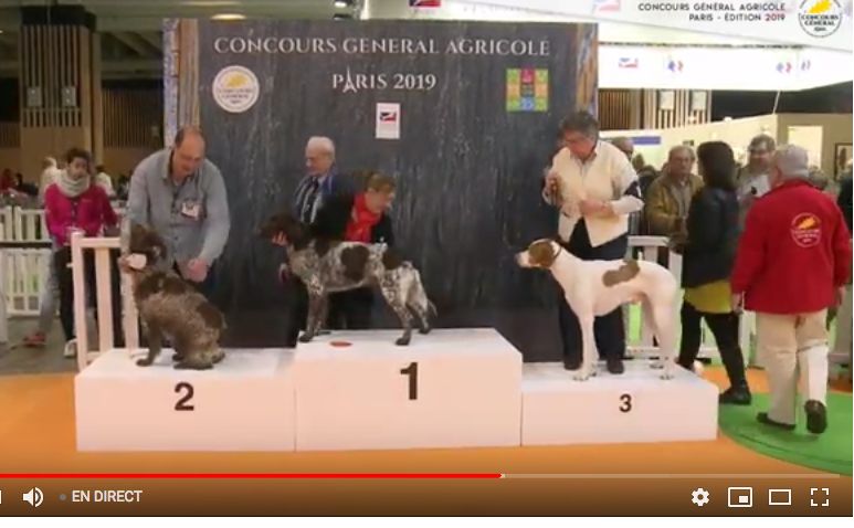 De la diane de belrem - Concours général agricole : Médaille de bronze pour J'Ichnéo