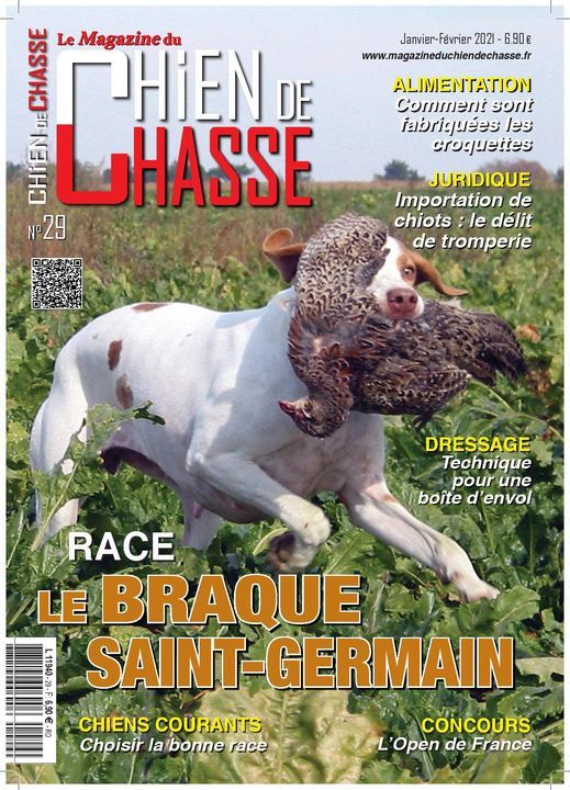 De la diane de belrem - Le Braque Saint Germain race du mois de Chien de chasse