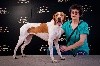  - L'élevage de la Diane de Belrem remporte les Dogs Awards 2021