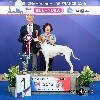  - Issan, meilleur chien du 7ème groupe au championnat de France !