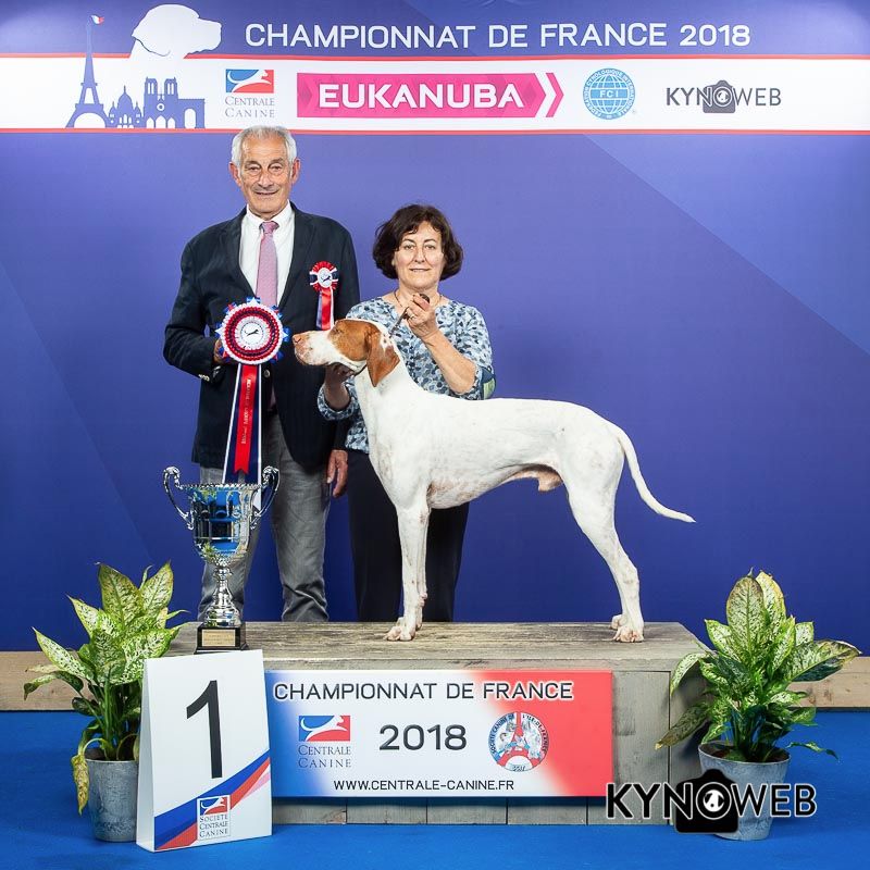 De la diane de belrem - Issan, meilleur chien du 7ème groupe au championnat de France !