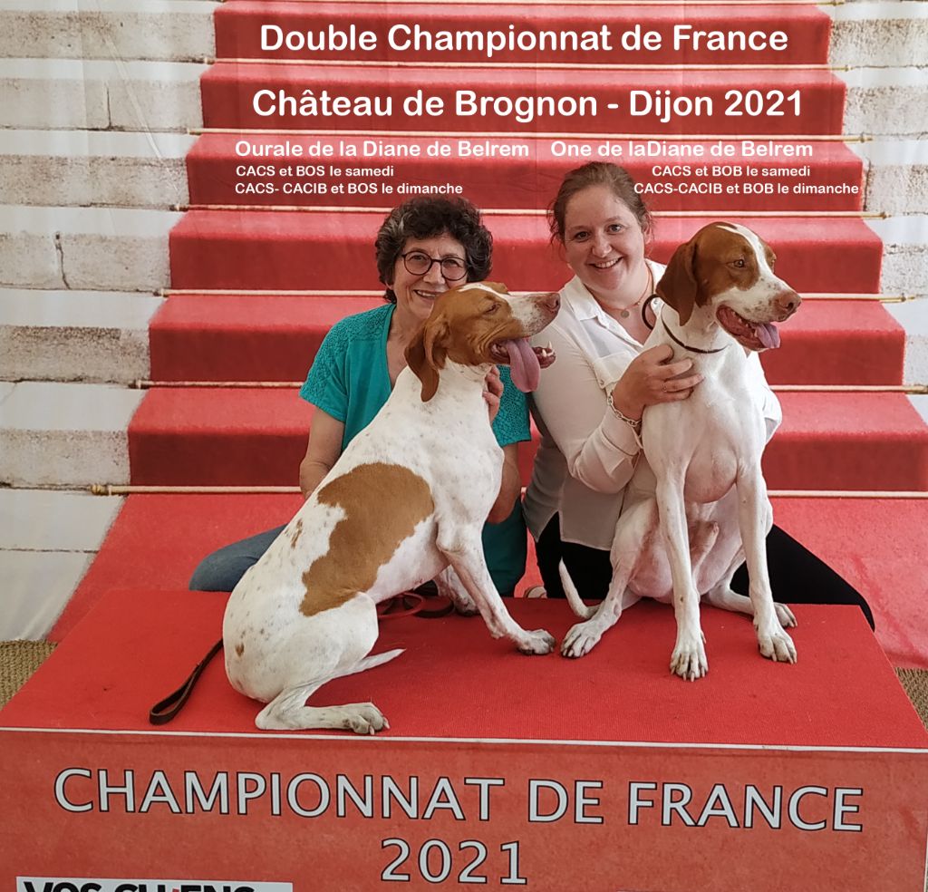 De la diane de belrem - Excellent doublé au championnat de France à Dijon !