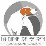 De la diane de belrem - Un élevage, une passion, un logo !