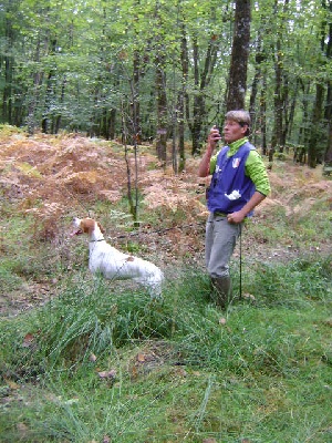 De la diane de belrem - Field de Chinon, Gaïa et Gwenn classées au bois