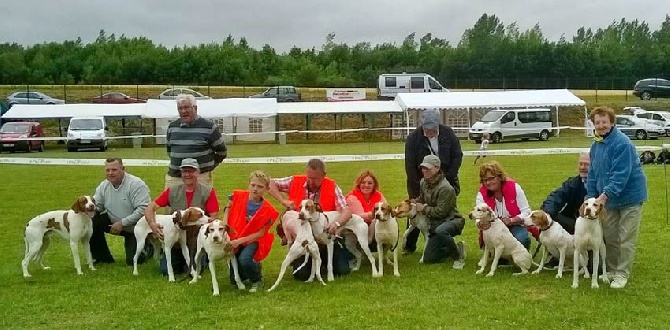 De la diane de belrem - Fête du chien à Herbelles : les BSG à l'honneur !