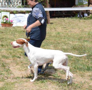 De la diane de belrem - Spéciale de Villeneuve-sur-Lot : CACS et MdR pour Issan !