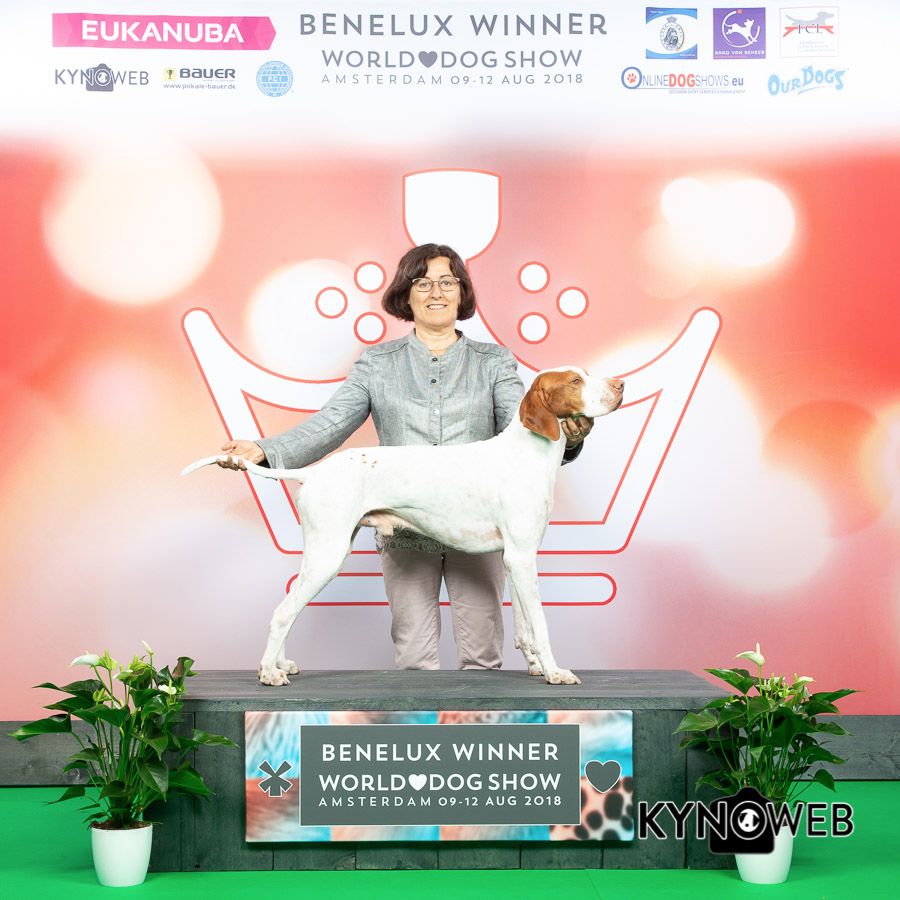De la diane de belrem - Championnat du Monde à Amsterdam : Issan champion du Bénélux