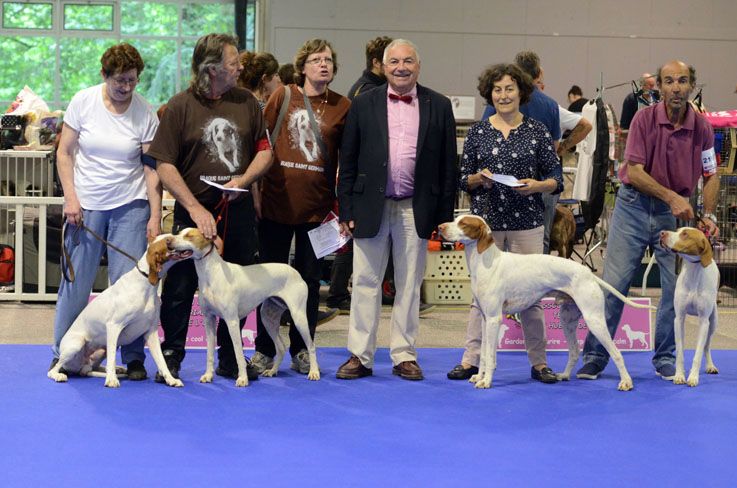 De la diane de belrem - Championnat de France : belles récompenses pour Issan, Juhel, Junior