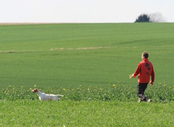 De la diane de belrem - CACIT pour Gaïa au Field de Mesnil en Thelle