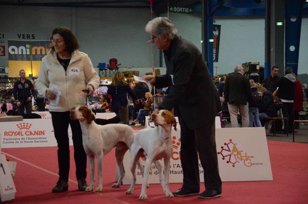 De la diane de belrem - Spéciale de race à Toulouse : CACS pour Mars, BOB pour Issan