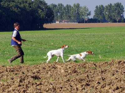 De la diane de belrem - Field d'Andechy : 2 CACT et 1 CACIT !