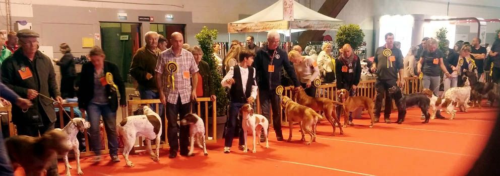 De la diane de belrem - Expo d'Amiens : CACS-CACIB pour Moun