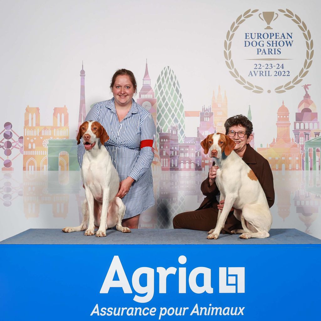 De la diane de belrem - Raïa et One, champions d'Europe !