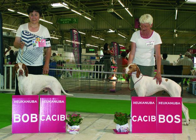 De la diane de belrem - Issan et Ièna, joli doublé au championnat de France à Dijon !