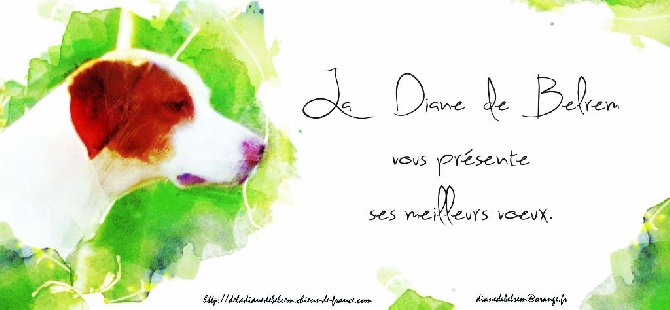 De la diane de belrem - Une nouvelle année, de nouveaux espoirs...