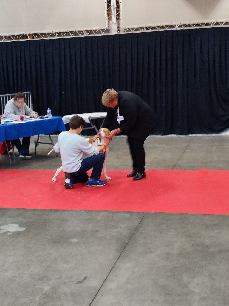 De la diane de belrem - Ugo et Urielle sur le tapis rouge à Amiens !
