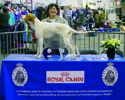 De la diane de belrem - Doubaï, championne internationale de beauté
