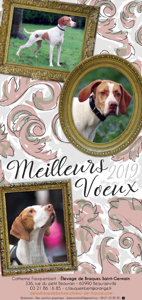 De la diane de belrem - Le meilleur pour 2019...