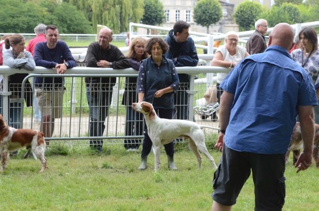 De la diane de belrem - Issan, meilleur de race à l'exposition de Jarnac