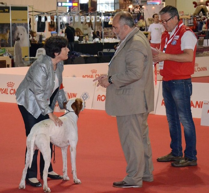 De la diane de belrem - Nouveau doublé pour Issan et Colette à Milan !