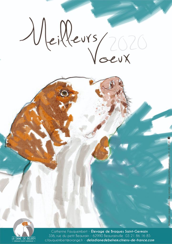 De la diane de belrem - Meilleurs voeux 2020