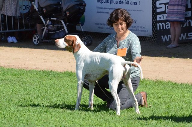 De la diane de belrem - A Cahors, Issan sur le podium des champions !