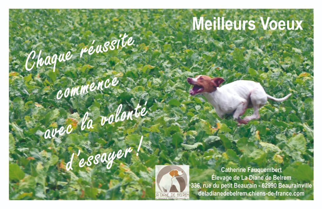 De la diane de belrem - Meilleurs voeux !