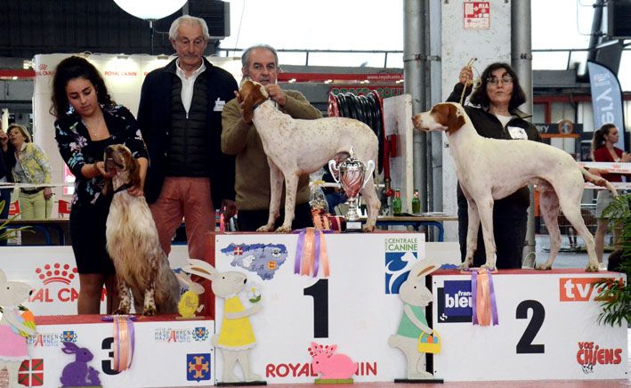 De la diane de belrem - Issan, 2è du podium du 7è groupe à Pau