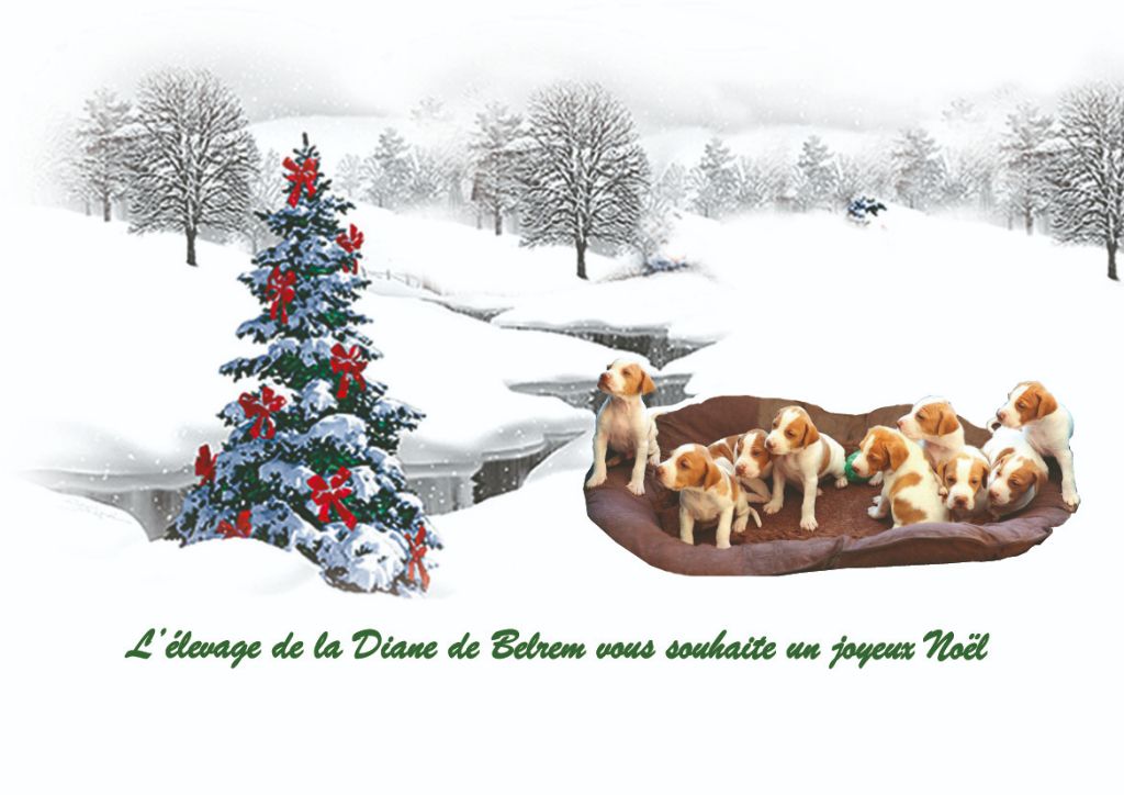 De la diane de belrem - Joyeux Noël